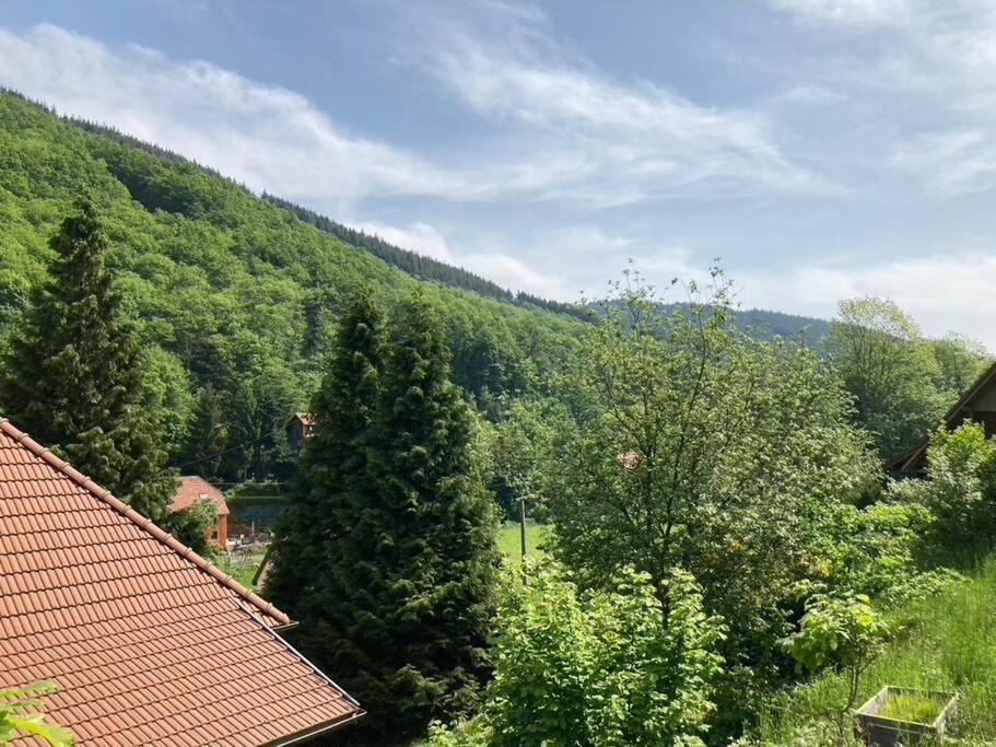 La Belle Vallee Lalaye Esterno foto