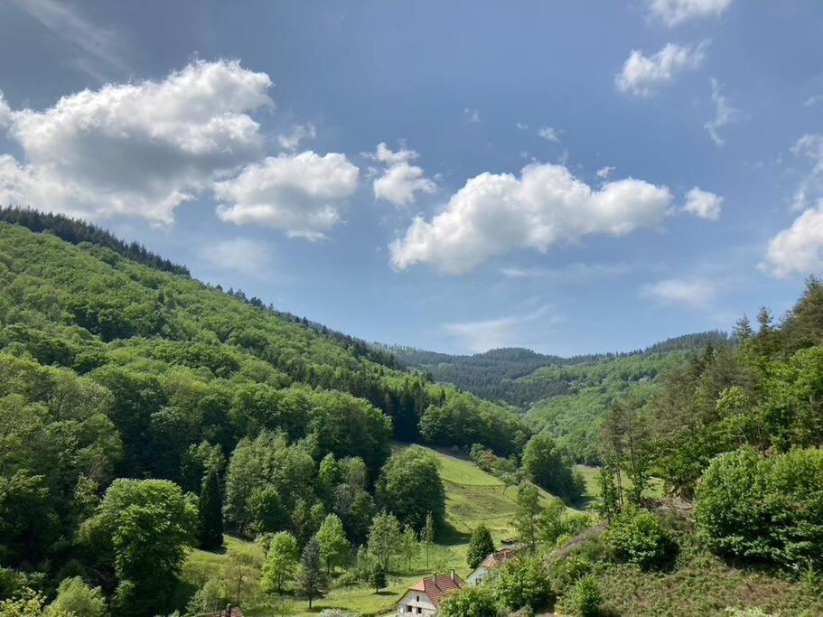 La Belle Vallee Lalaye Esterno foto