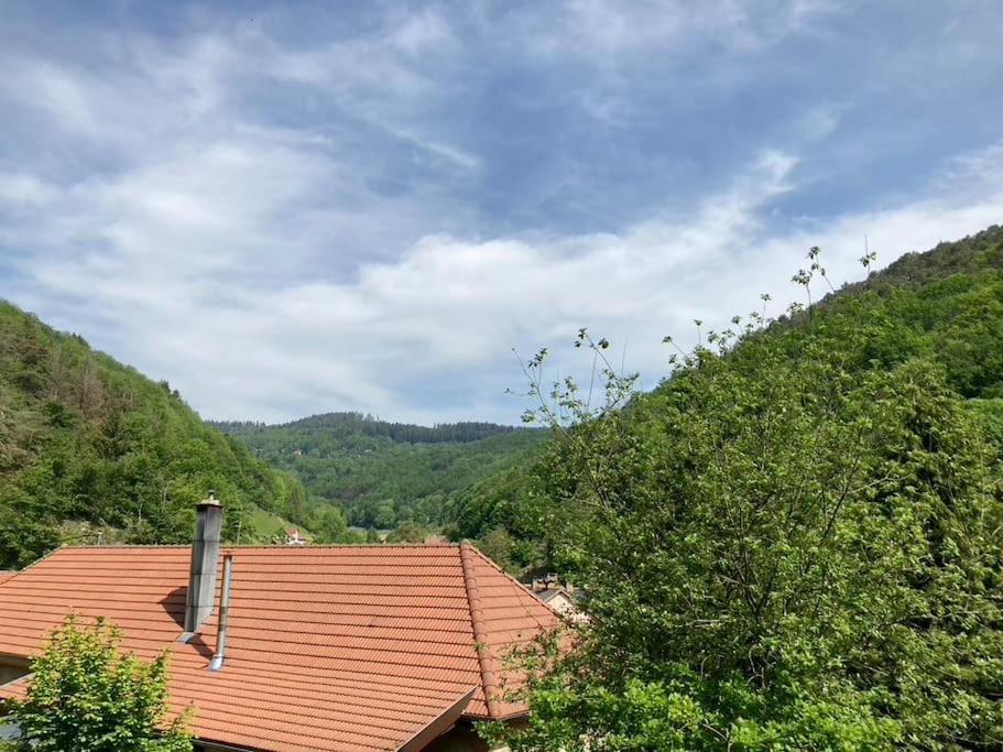 La Belle Vallee Lalaye Esterno foto